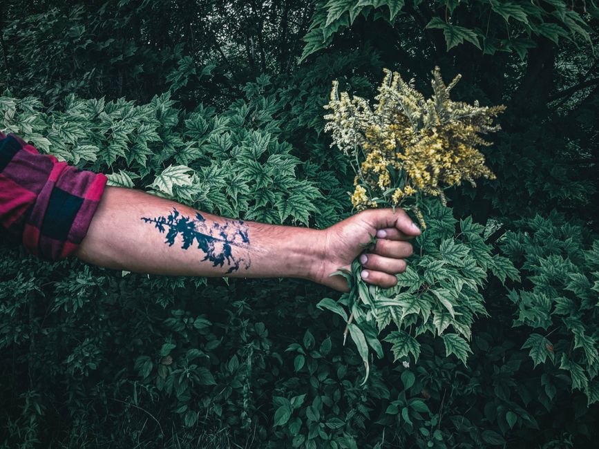A tattooed arm holding wildflowers against lush foliage. Captured outdoors in Ottawa.