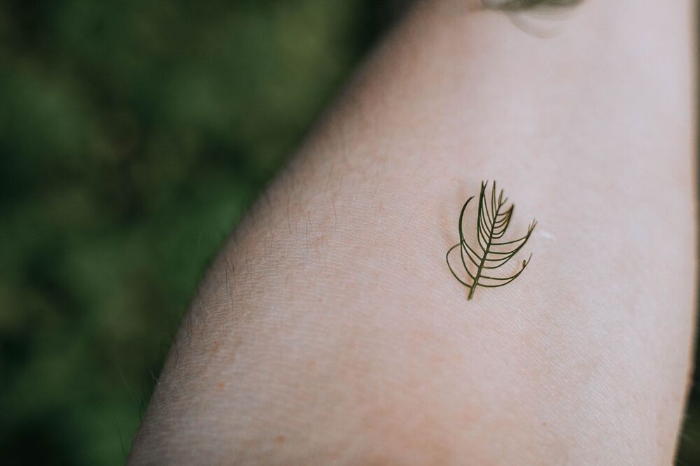 Small fine line leaf tattoo on the upper arm