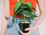 Tatuaje de mariposa: significado, historia e ideas de diseño