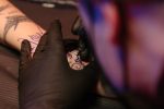 Tattoo Content Engagement Report 2026: What Readers Actually Click On