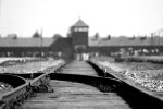 Auschwitz Tattoos: The History of the Numbers and the Descendants Who Carry Them