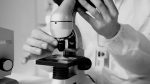 Tattoo Ink Safety in the US: What MoCRA Changed and What the FDA Found