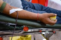 Brazo de un donante durante una donación de sangre en un hospital
