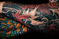 Close up of healed Japanese style colour tattoos with a koi and red maple leaves on two forearms