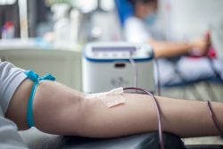 Can You Donate Blood With Tattoos? Rules in the UK, US, Canada and Australia