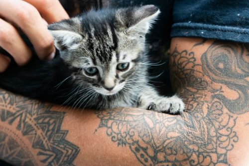 Kate Beckinsale's Heartfelt Tribute Second Tattoo Honoring Late Cat Clive Unveiled