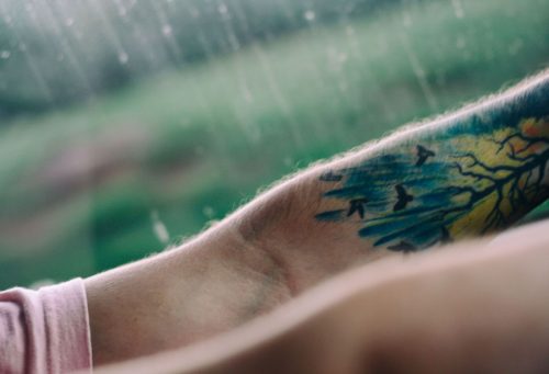 Tree Tattoo Ideas: What Each Tree Means and Designs That Grow With You