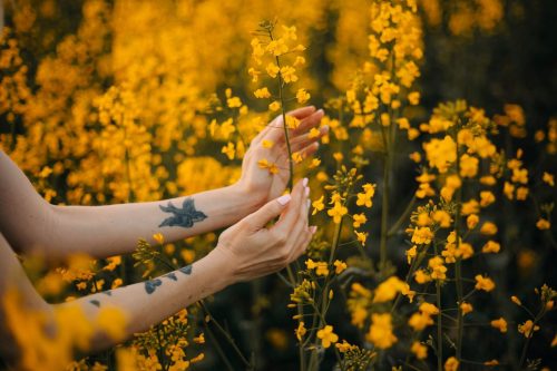 Tattoos as Symbols of Healing for Sex Trafficking Survivors