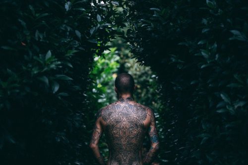 Tree of Life Tattoo Meaning: Symbolism Across Cultures and Design Ideas