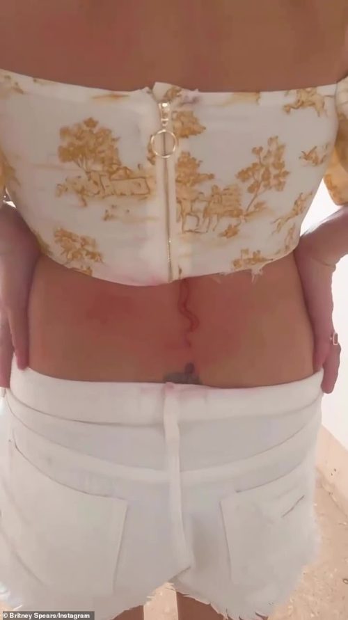 Britney Spears Unveils New Snake Tattoo Amid Divorce Drama