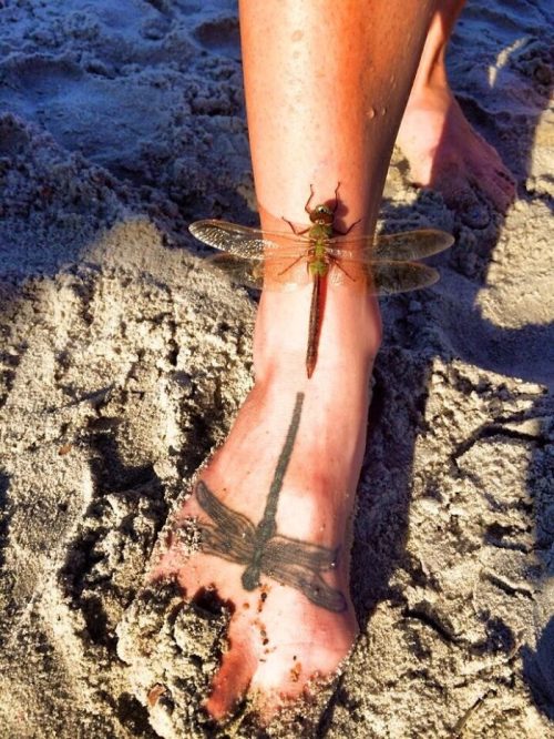 40+ Perfectly Timed Tattoos That Fit So Well Into Reality, They’ll Leave You Amazed